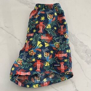 Patagonia Kids Baggies Shorts